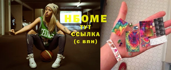 гидра Богородицк