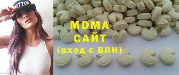 гидра Богородицк