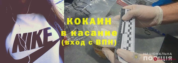 твердый Бородино