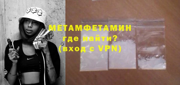 гидра Богородицк
