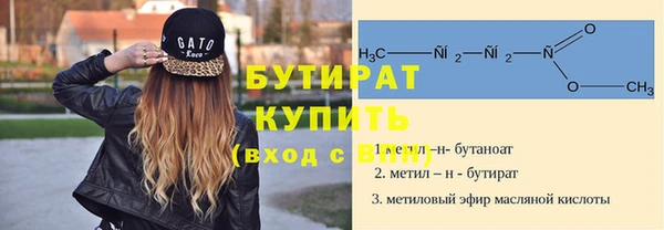 гидра Богородицк