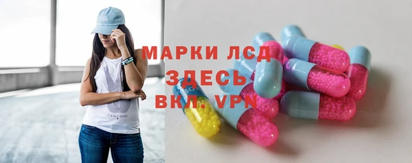 гидра Богородицк