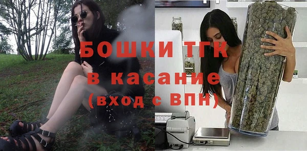 гидра Богородицк