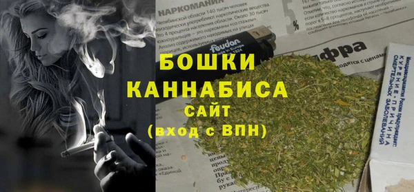 стафф Богородск
