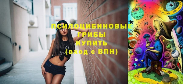 2c-b Богданович