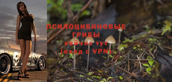 2c-b Богданович