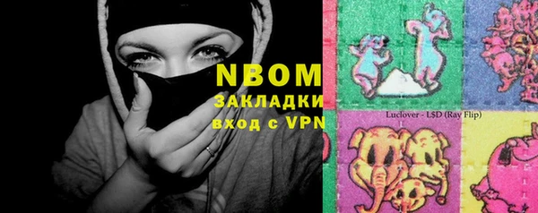 гидра Богородицк