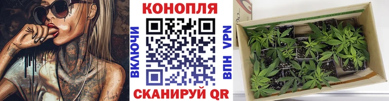 купить  сайты  Чехов  Канабис MAZAR 